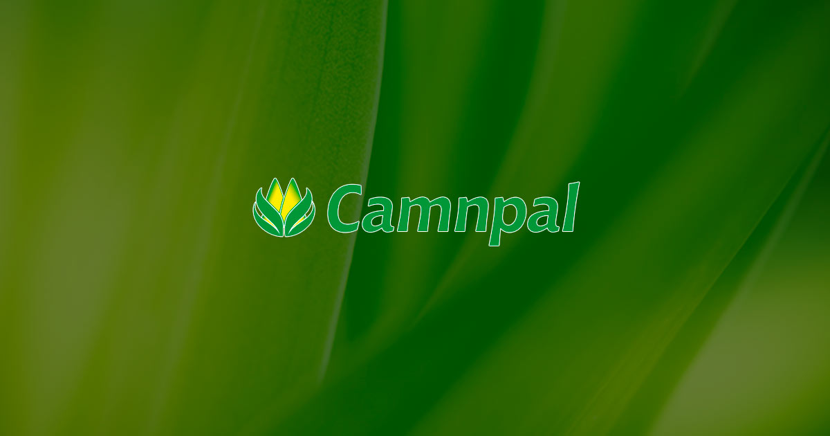 (c) Camnpal.com.br